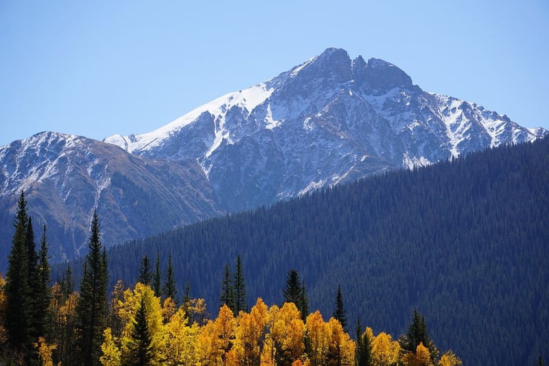 Aspen